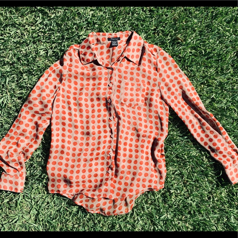 ✨ Polka Dotted Sheer Long Sleeve by Timeless ✨